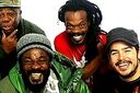 The Wailers