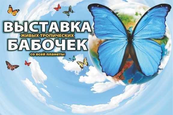 Выставка «Планета живых бабочек»