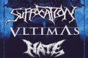 Концерт Suffocation / Vltimas / Hate