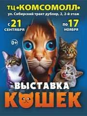 Выставка кошек