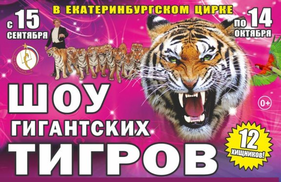 Шоу гигантских тигров